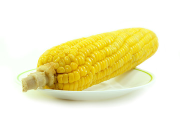 Corn on white plate