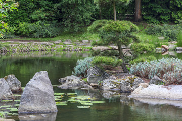 Fragment of a japanese garden