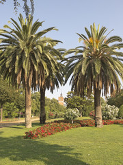 Ciutadella Park. Barcelona