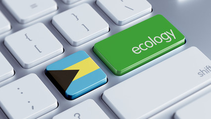 Fototapeta premium Bahamas. Ecology Concept