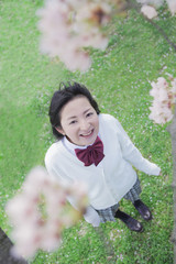桜の木の下に立つ高校生