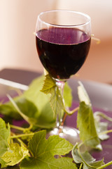 Red wine in glass with grape leaves