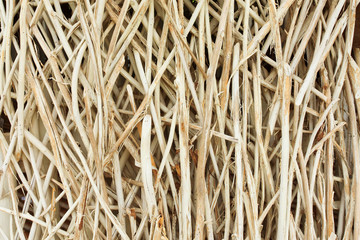 Bamboo wooden texture
