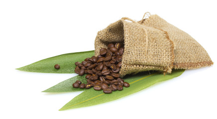 coffee beans in bag isolated on white background
