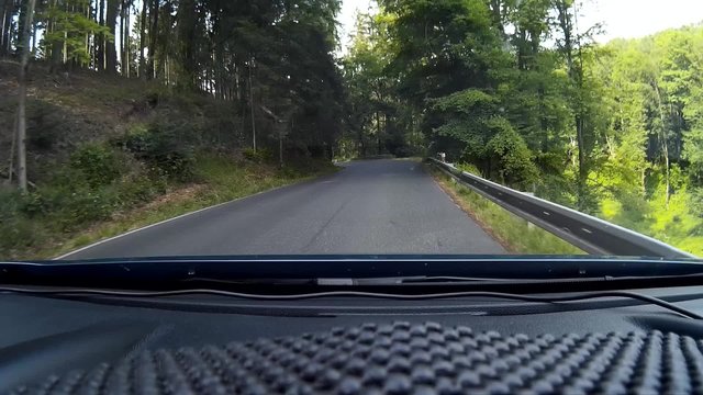 Driving the country road in the forest, shot on dash cam.