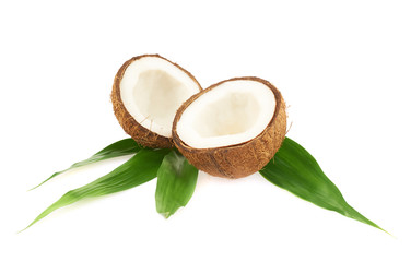 Coconut fruits over the leaves