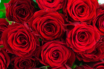 bouquet of red roses as a background