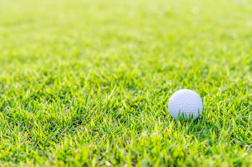 Golf ball on green grass