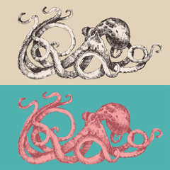 Octopus vintage illustration, engraved retro style, hand drawn