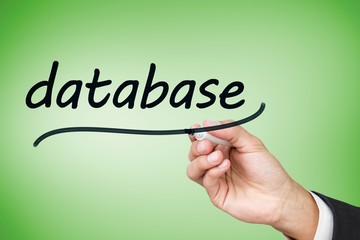 Businesswoman writing the word database