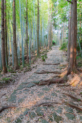 松本峠　熊野古道