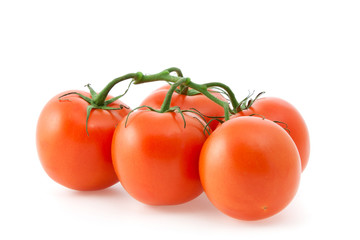 Red tomatoes on a branch