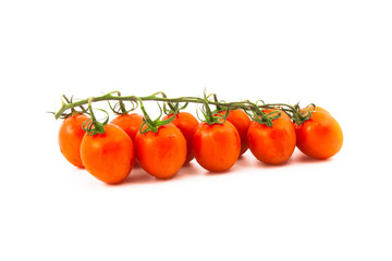 red cherry tomatoes on a branch