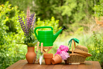 Gardening tools on green background and grass