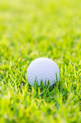 Golf ball on green grass