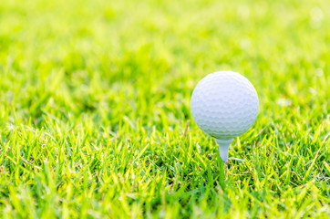 Golf ball on green grass