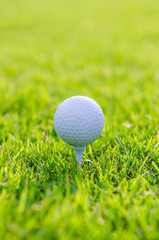 Golf ball on green grass