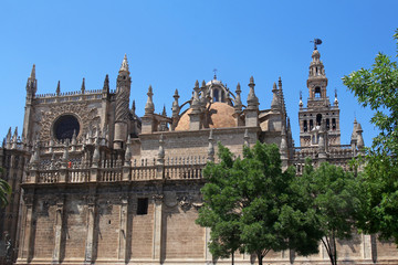 Obraz premium Cathedral of Saint Mary of the See and Giralda in Seville, Spain