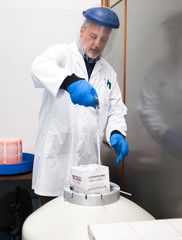 Scientist taking samples from a cryogenic nitrogen container
