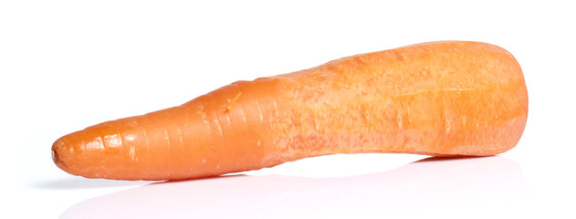 Carrot in White background