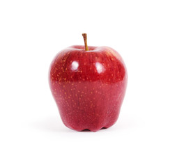 Red apple on white background