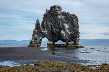Hvitserkur, rock with the shape of a dinosaur