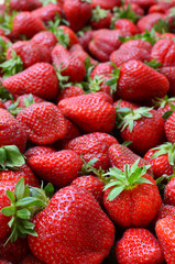 Many strawberries