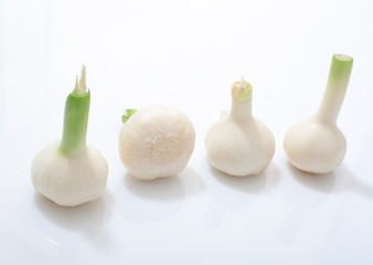 whole fresh garlic on a white background lined up