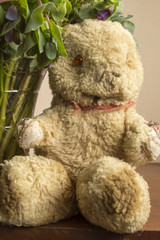 An Old Battered Teddy Bear