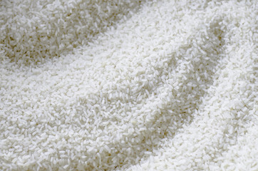 Fototapeta na wymiar Background of the raw yellow rice grains