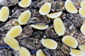 Austern mit Zitronenstücken