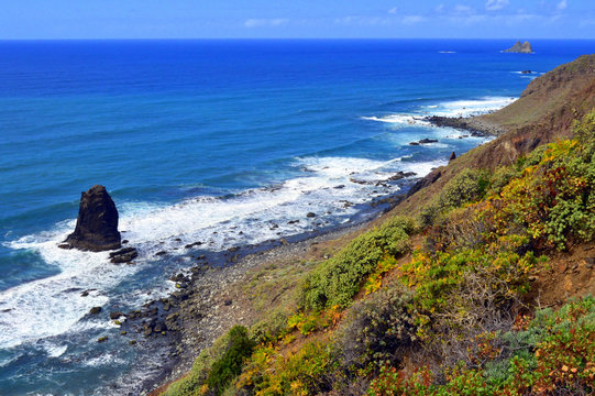 Vegetaci&oacute;n hal&oacute;phila y playa en la costa norte de Tenerife