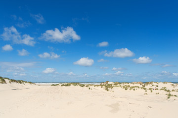 Fototapeta na wymiar Dunes and beach
