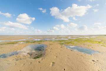 Shallow at dutch wadden sea