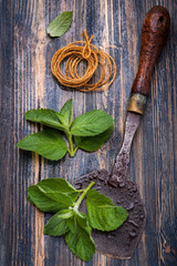 Mint and vintage chopper knife on wooden background