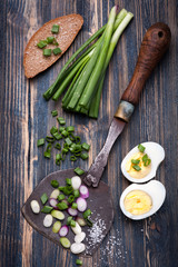 Green onions, bread and boiled egg. Rustic breakfast