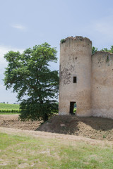 Fototapeta na wymiar chateau et vignes