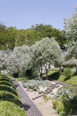 Jardin André Citroën à Paris