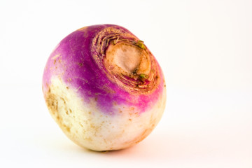 Turnip on a white background