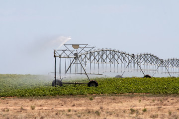 self-propelled irrigation system