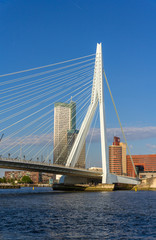 View of Erasmus Bridge in Rotterdam, Netherlands