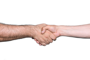Handshake of two men