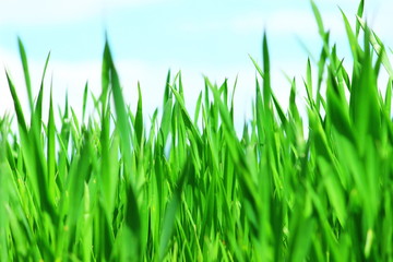 The wonders of nature