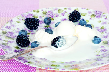 the thawed ice cream