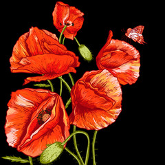 Bunch of Beautiful Red Poppy vector illustration