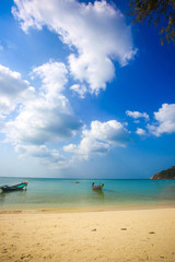Obraz na płótnie Canvas Beautiful tropical beach with palm tree. Koh Phangan