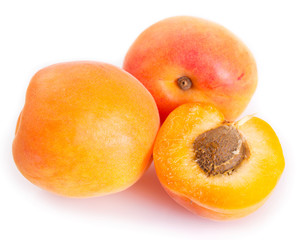 Fresh apricot