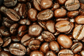Obraz premium brown coffee beans closeup vintage background texture