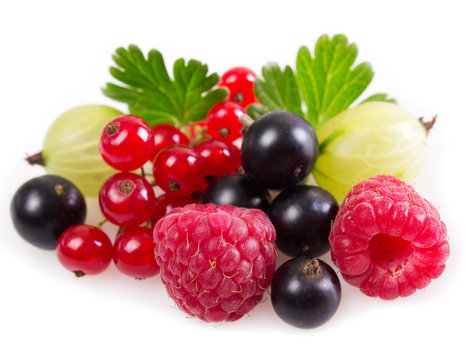 Collection of berries