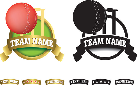 Badge, symbol or icon on white for cricket
